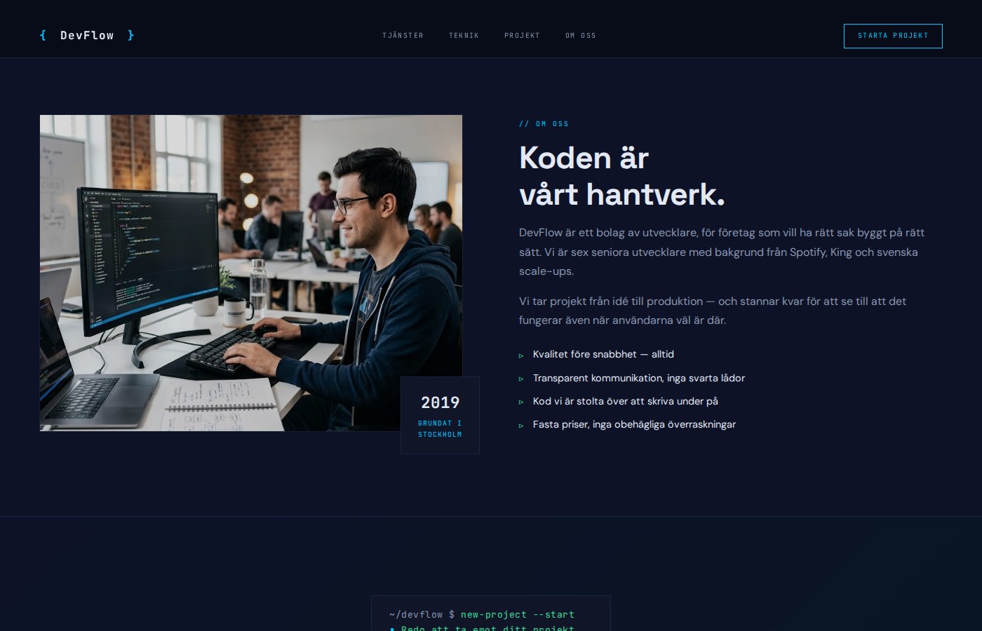 DevFlow projekt